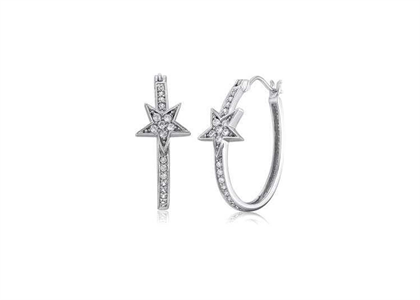 Rhodium Plated | Fashion Earrings